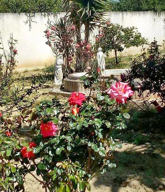 Panzió Villa Rosa Maria Villaggio Mosè